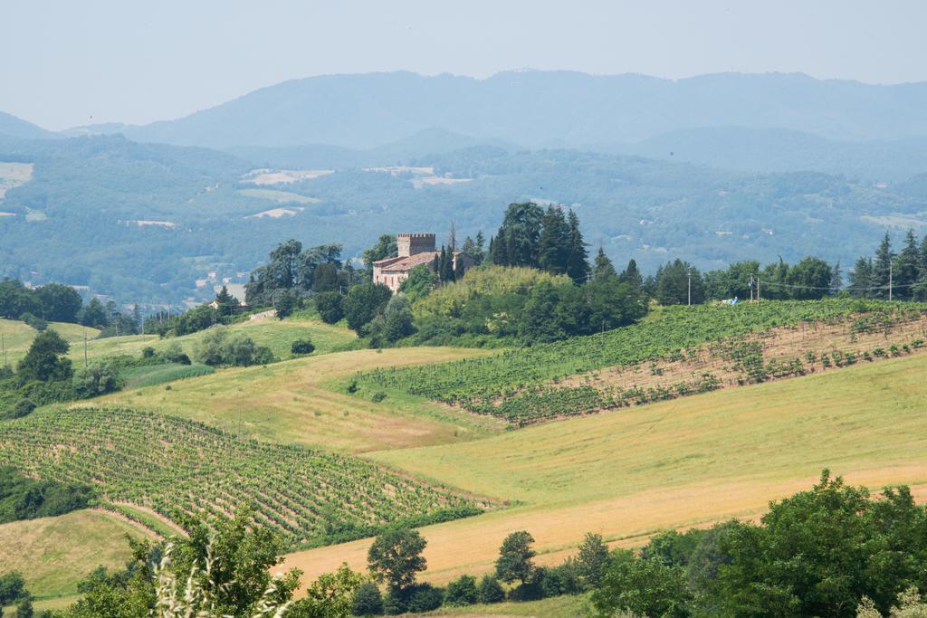 Agriresort & Spa Fattoria I Ricci Vicchio Dış mekan fotoğraf